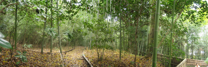 sikitiphoto01